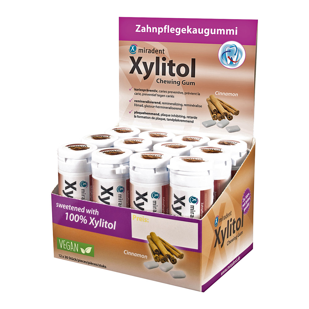 Xylitol Gum cinnam. 12er Displ.