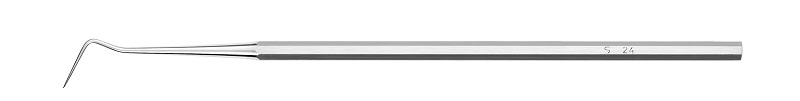 S24 Sonde