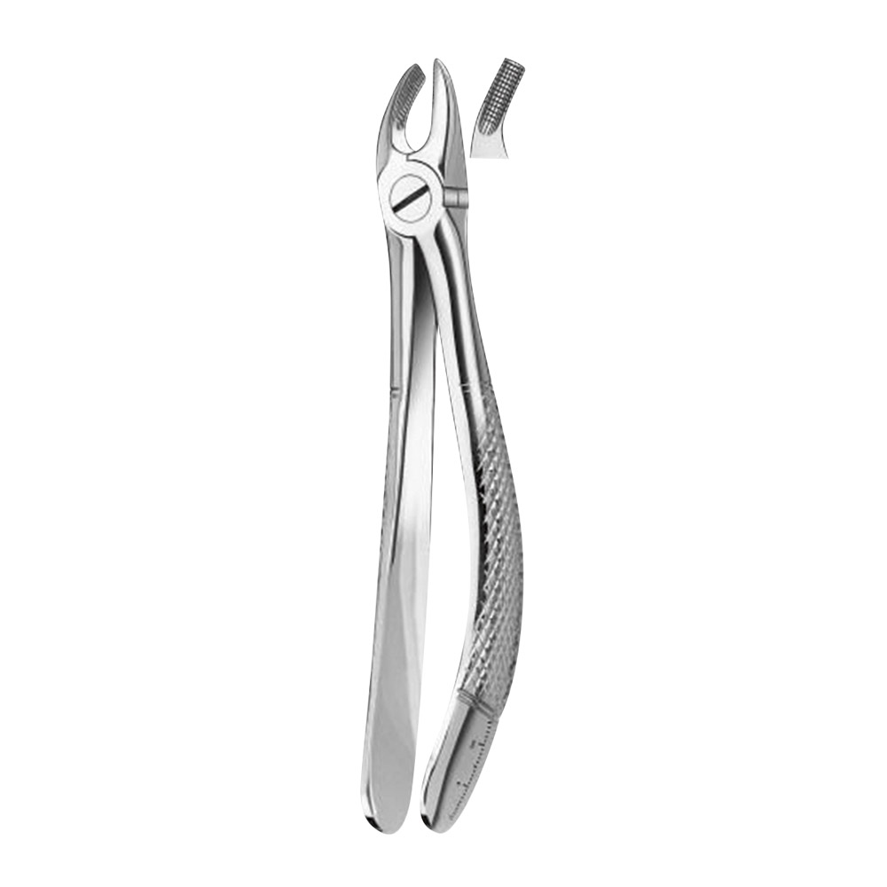 Pince dentaire Figure 39 molaire supérieure droite + gauche enfant, pièce
