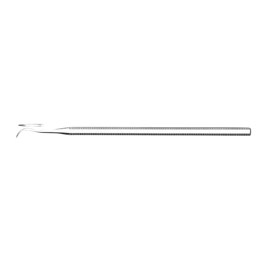 Nettoyeur de dents 1000/6, pièce