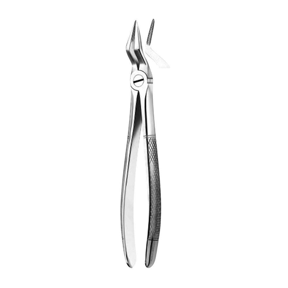 Pince dentaire Figure 51A racine maxillaire, pièce