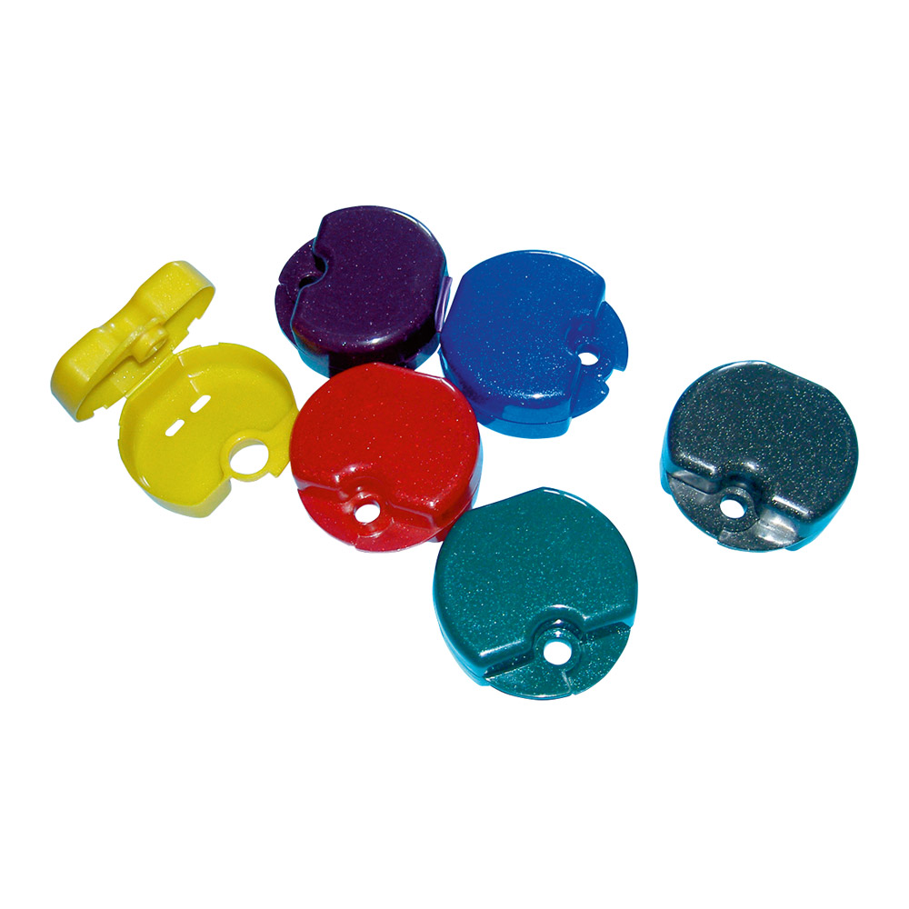 Boîtes à élastiques pailletées assorties, 100 pièces