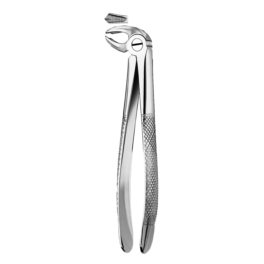Pince dentaire Figure 22G molaire inférieure, pièce