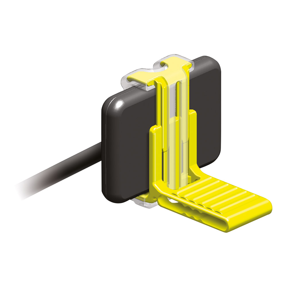 XCP-DS Fit Molaire, 2 pièces