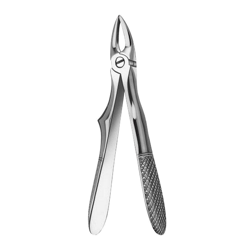 Pince dentaire Figure 280/1 dents incisives supérieures enfant, pièce