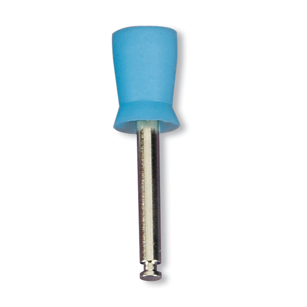 Prophy Cup reg.blau WKST Pa50