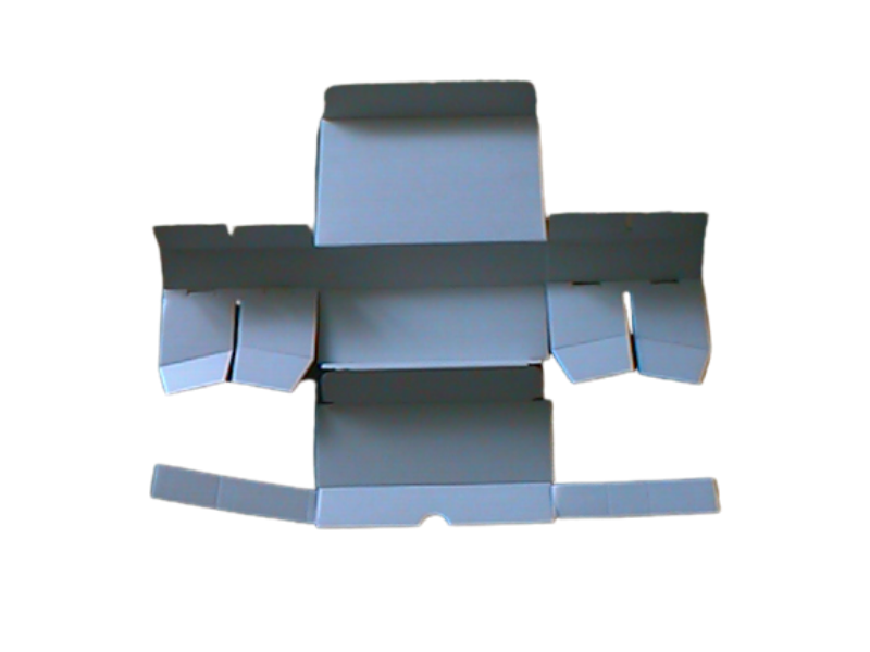 Zahnmodellschachteln 217 x 162 x 42 mm 6er Einteilung, 100 Stück Packung