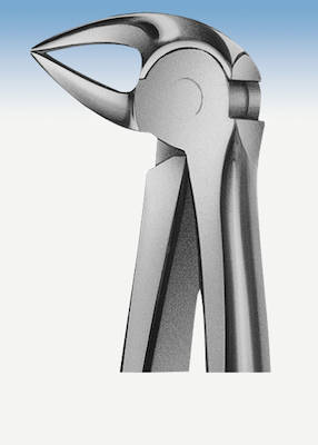 ANATOMICA ZAHNZG FIG33A DH732ST