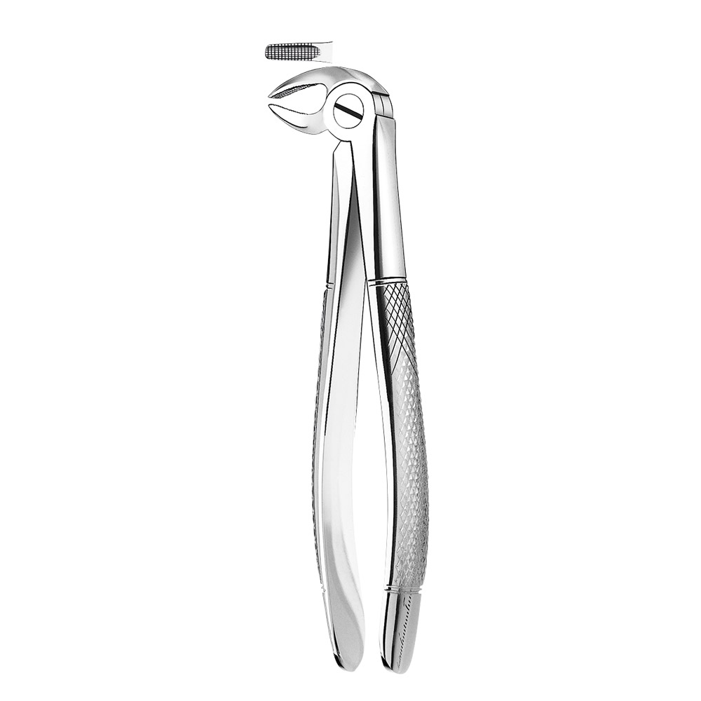 Zahnzange Figur E13 UK Frontzahn + Prämolar, Stück