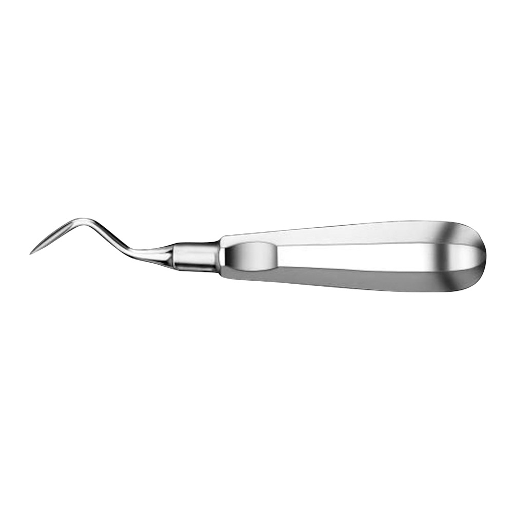 Elevateur Apical