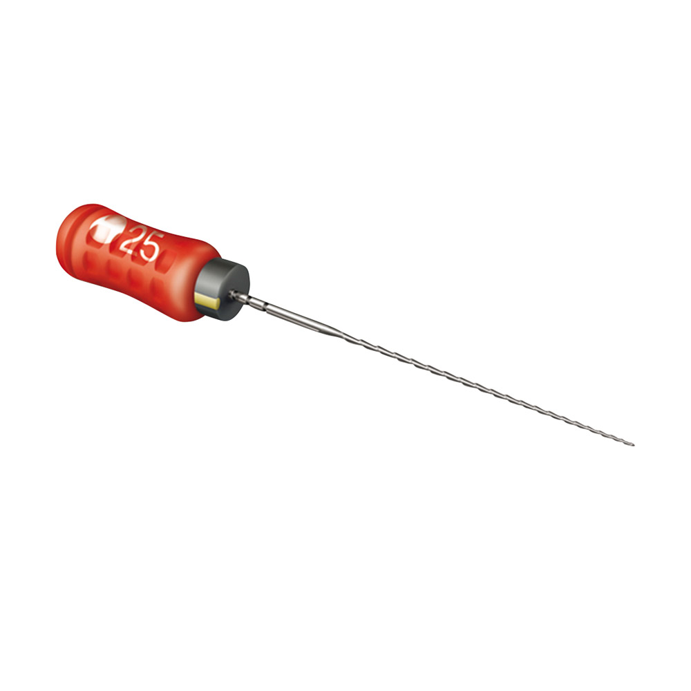 READYSTEEL SENS.HEDST.21MM 10 PA/6