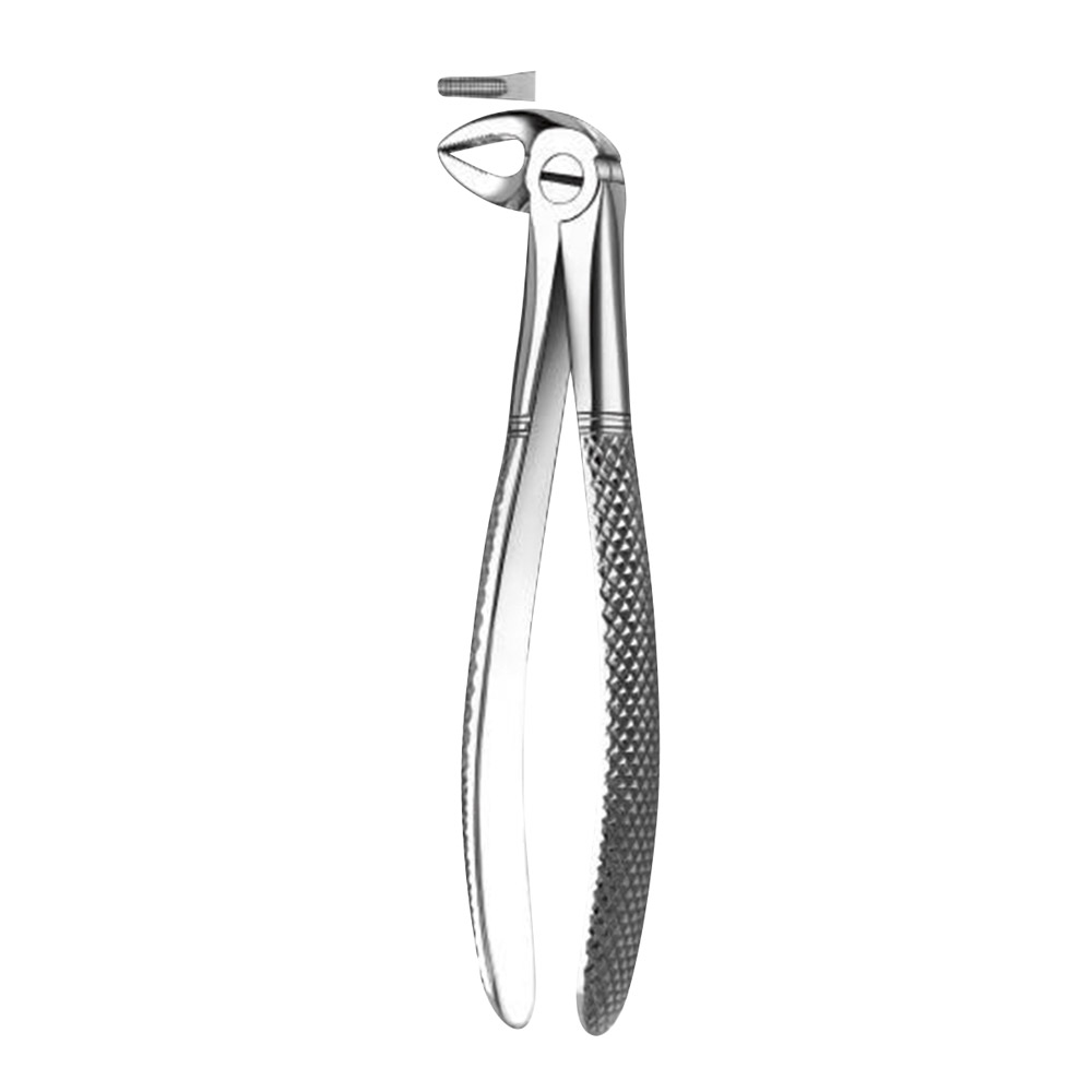 Pince dentaire Figure 33K Incisive inférieure + racine enfant, pièce