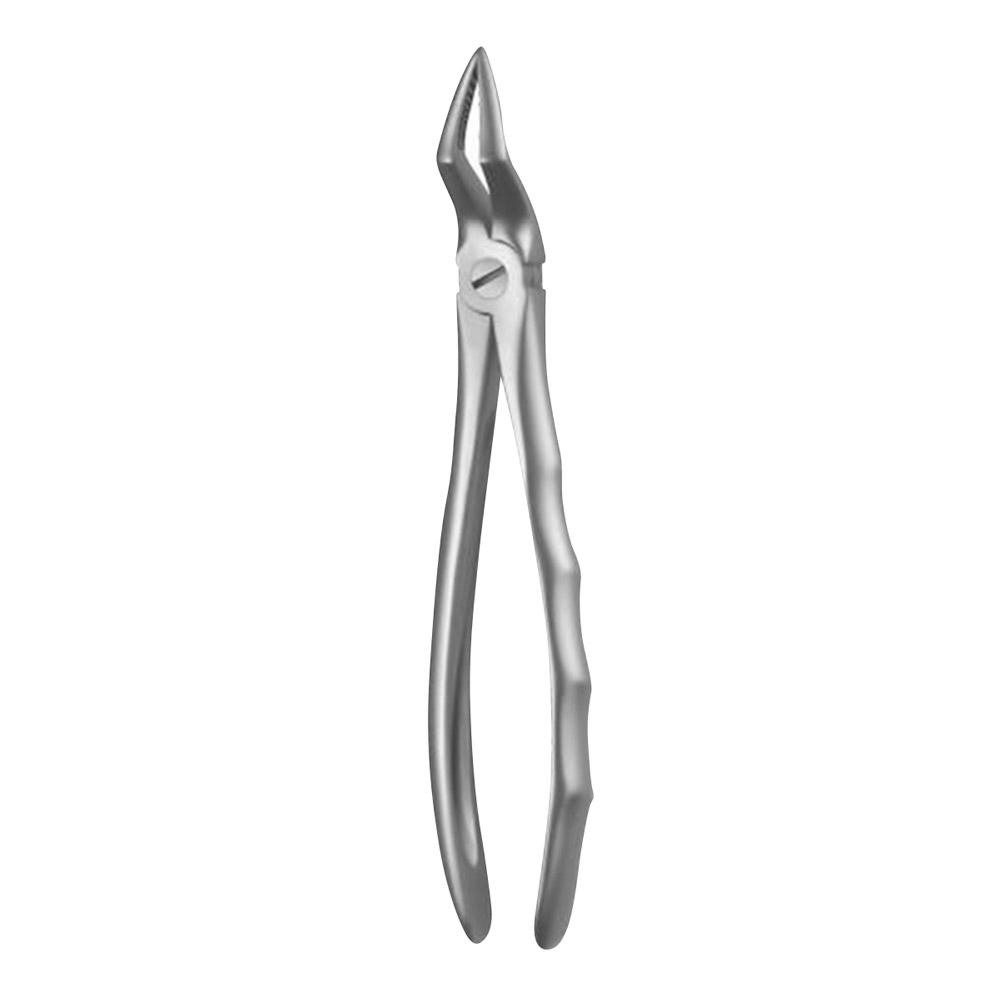 Zahnzange Liquid Steel Figur 51A OK Wurzel, Stück